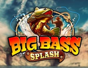 Okładka gry Big Bass Splash